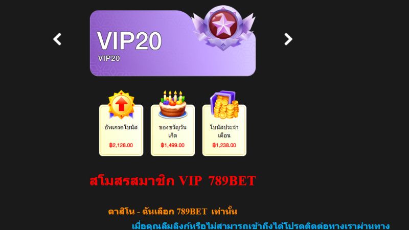 ปรโมชั่น VIP 20 คือระดับสูงสุด